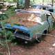 Illustration for article titled Massive Secret Mustang Junkyard Found In Rhode Island Forest